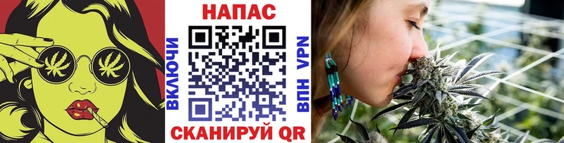 Каннабис планчик  Купить закладки  Кингисепп 